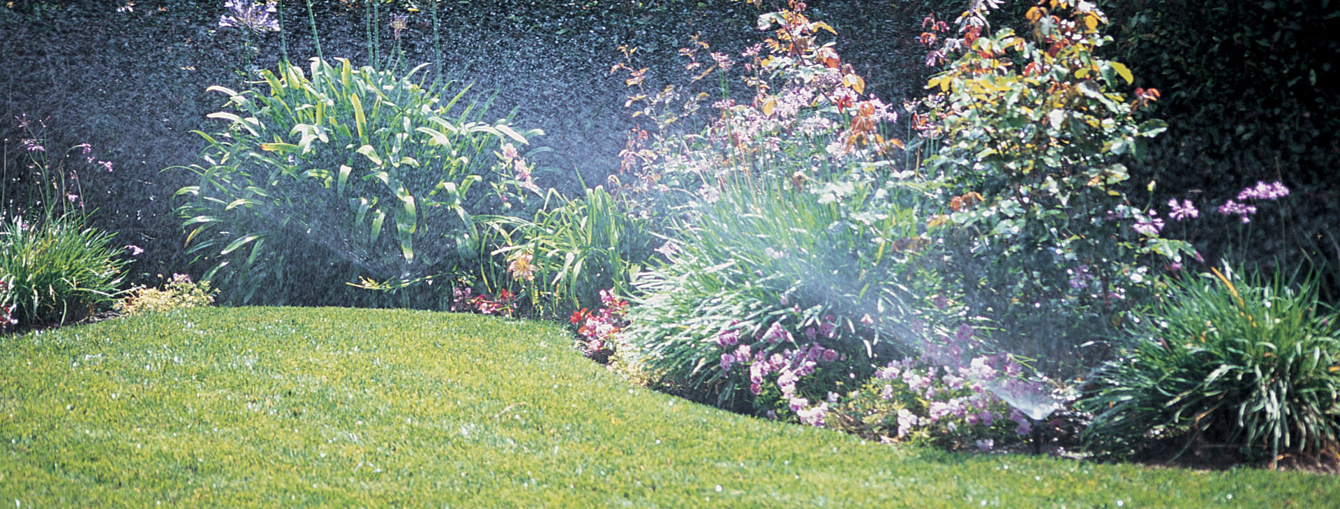 The 3 Types of Irrigation Systems for Your Lawn and Garden