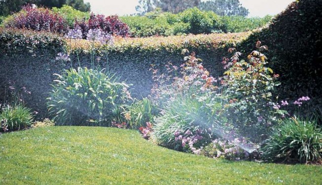 Irrigation System Installed in Large Backyard