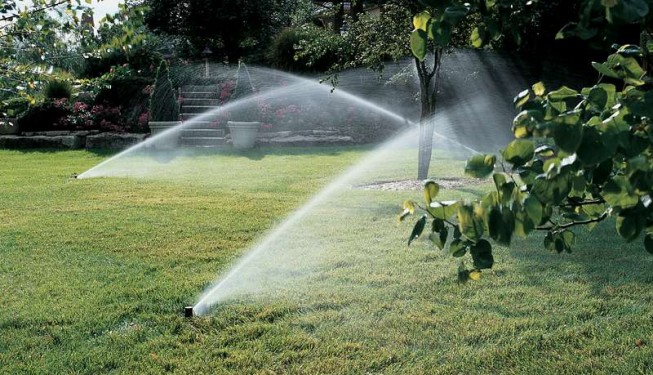Irrigation System Installed in Large Backyard